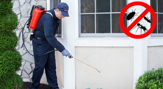 Gülağaç Böcek ve Haşere İlaçlama böcek ilaçlama ve haşere kontrolü — ilaclama-tr.com